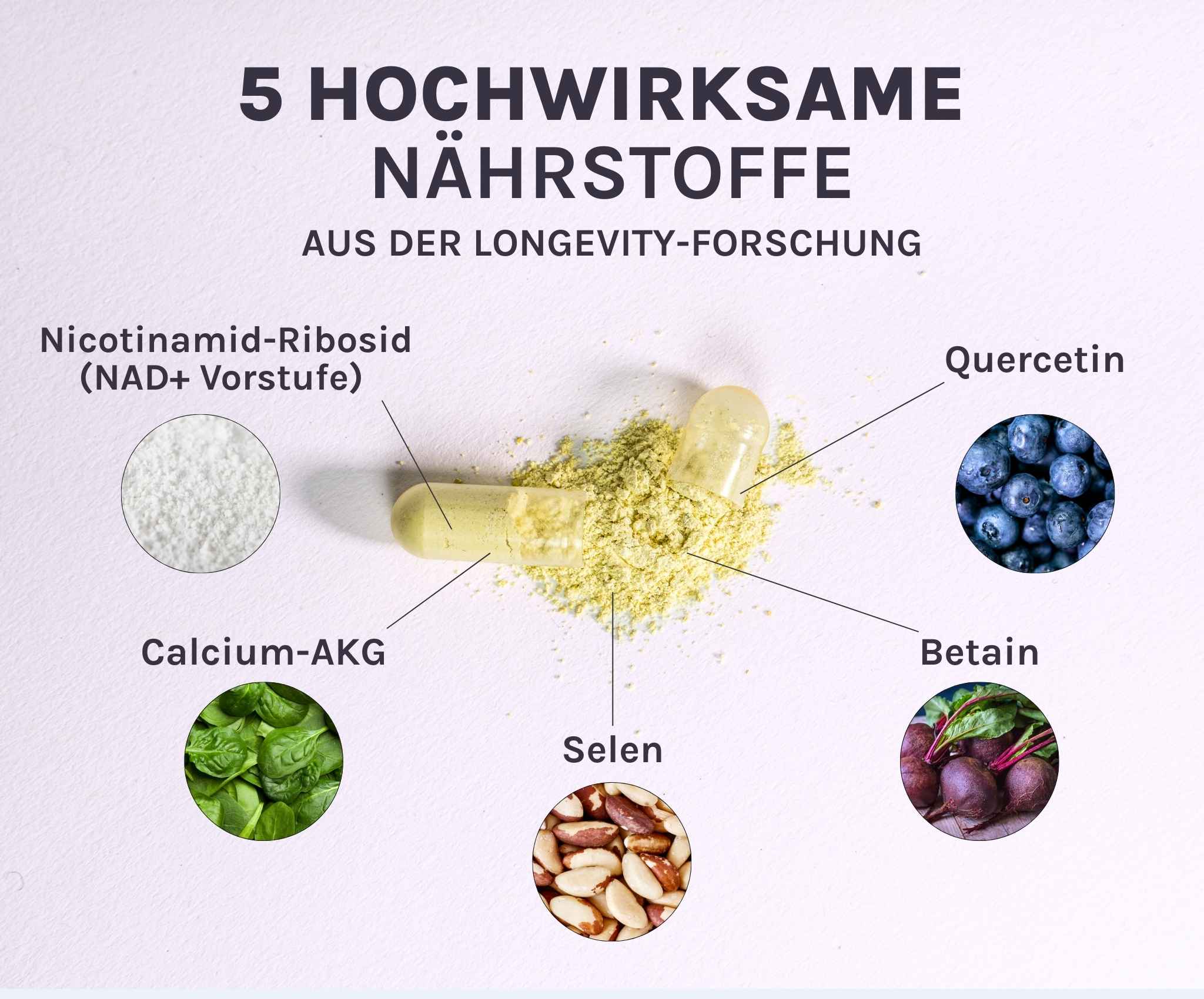 Die 5 Longevity Nährstoffe von REVIVE abgebildet