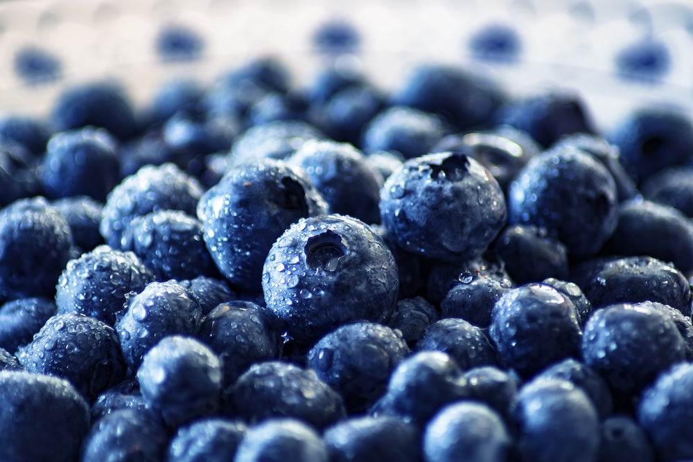 Quercetin: Wirkung, Senolytika und warum der Sophora japonica-Extrakt zählt