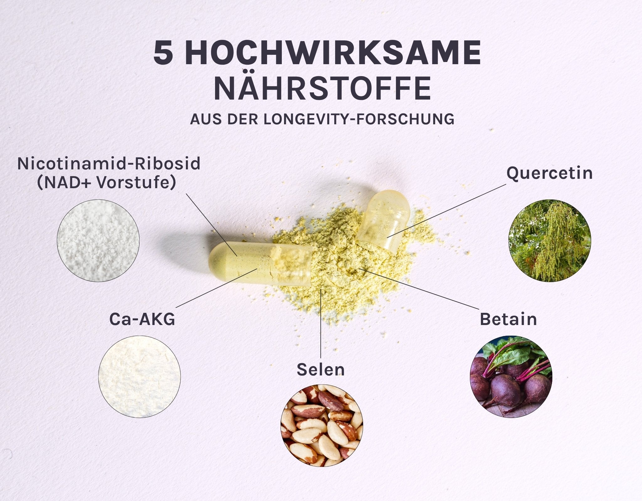 Longevity Supplement Revive mit 5 Wirkstoffen wie NR, Ca-AKG, Quercetin, Betain und Selen
