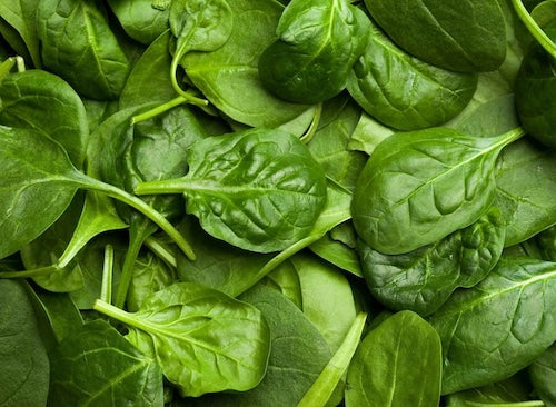 Calcium AKG_Calcium aus Spinat