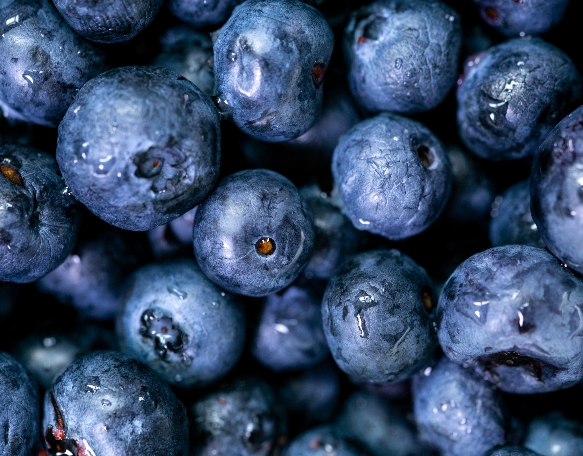 Quercetin als Senolytika und Zellschutz