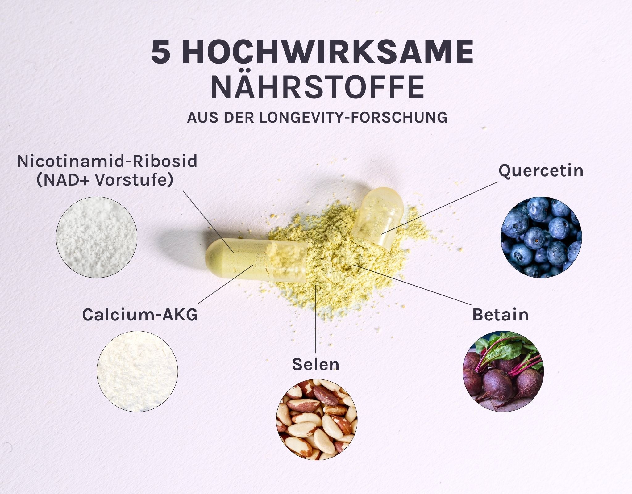 Longevity Supplement Revive mit 5 Wirkstoffen wie NR, Ca-AKG, Quercetin, Betain und Selen