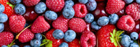 Beeren stehen für Quercetin, einen pflanzlichen Wirkstoff in der REVIVE Formel von Never Age Nutrition.