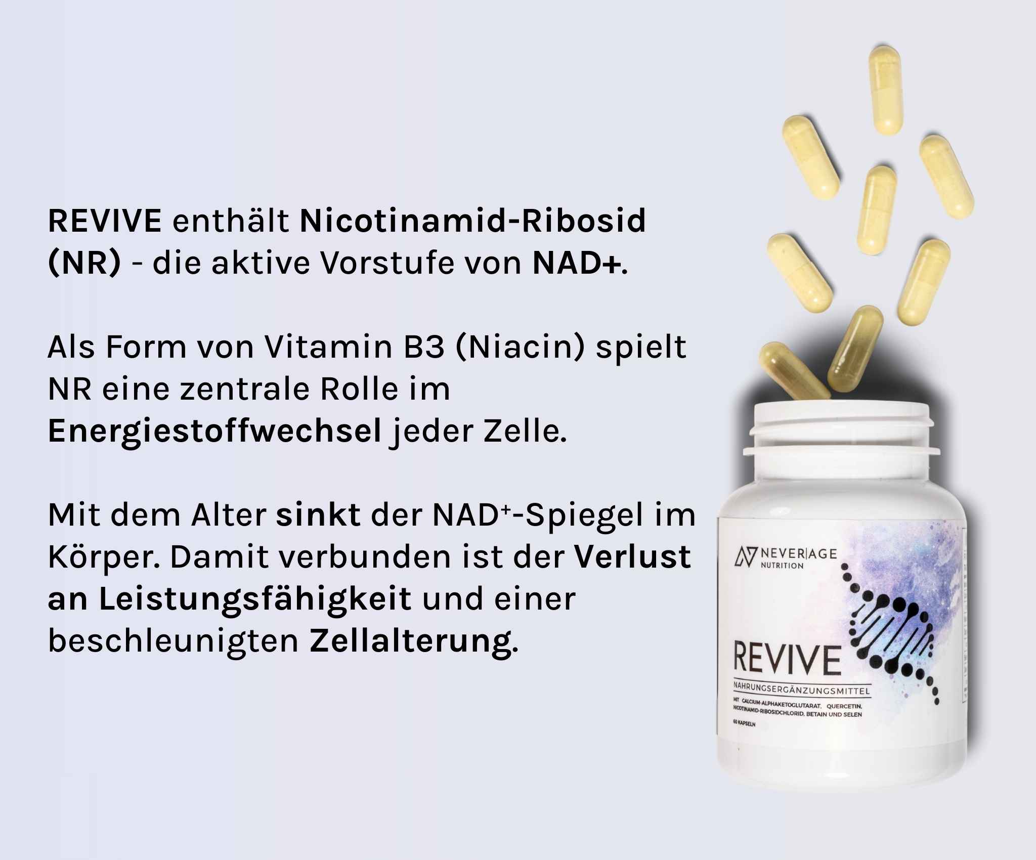 Never Age Nutrition Revive erhöht den NAD+ Spiegel durch NR Produktphoto