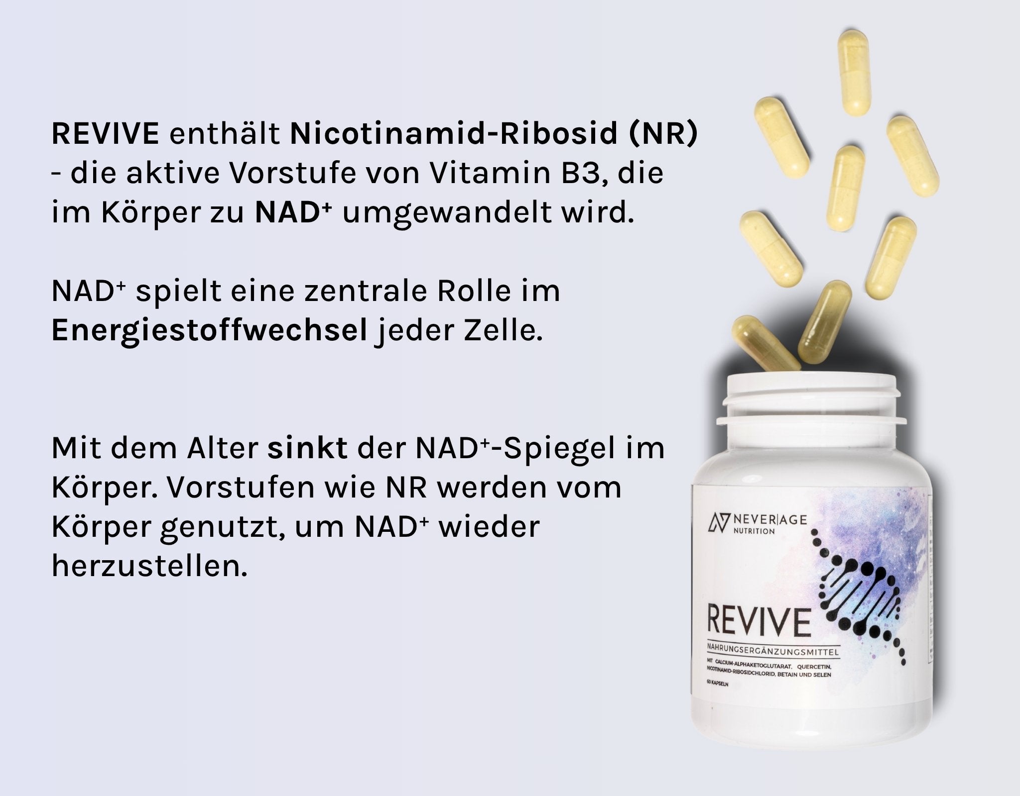 Never Age Nutrition Revive erhöht den NAD+ Spiegel durch NR
