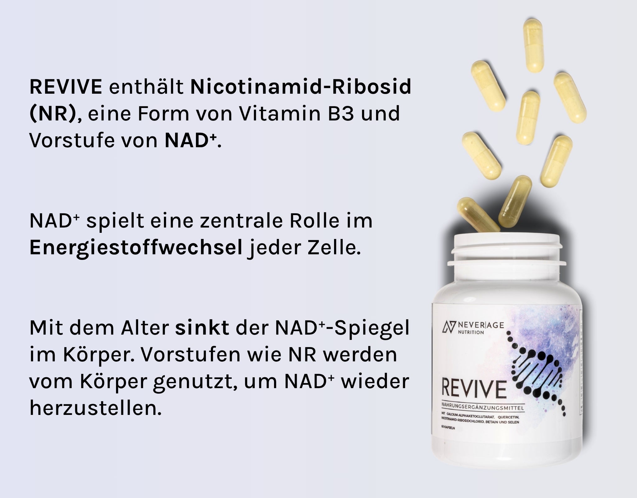 Never Age Nutrition Revive erhöht den NAD+ Spiegel durch NR