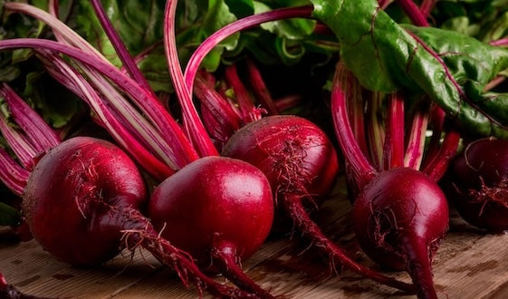 Rote Rüben die Betain TMG beinhalten